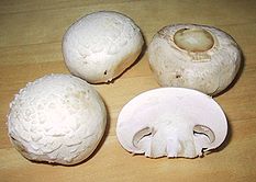 шампиньон - champignon, button mushroom